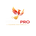 Fenix Pro Solutions - Home